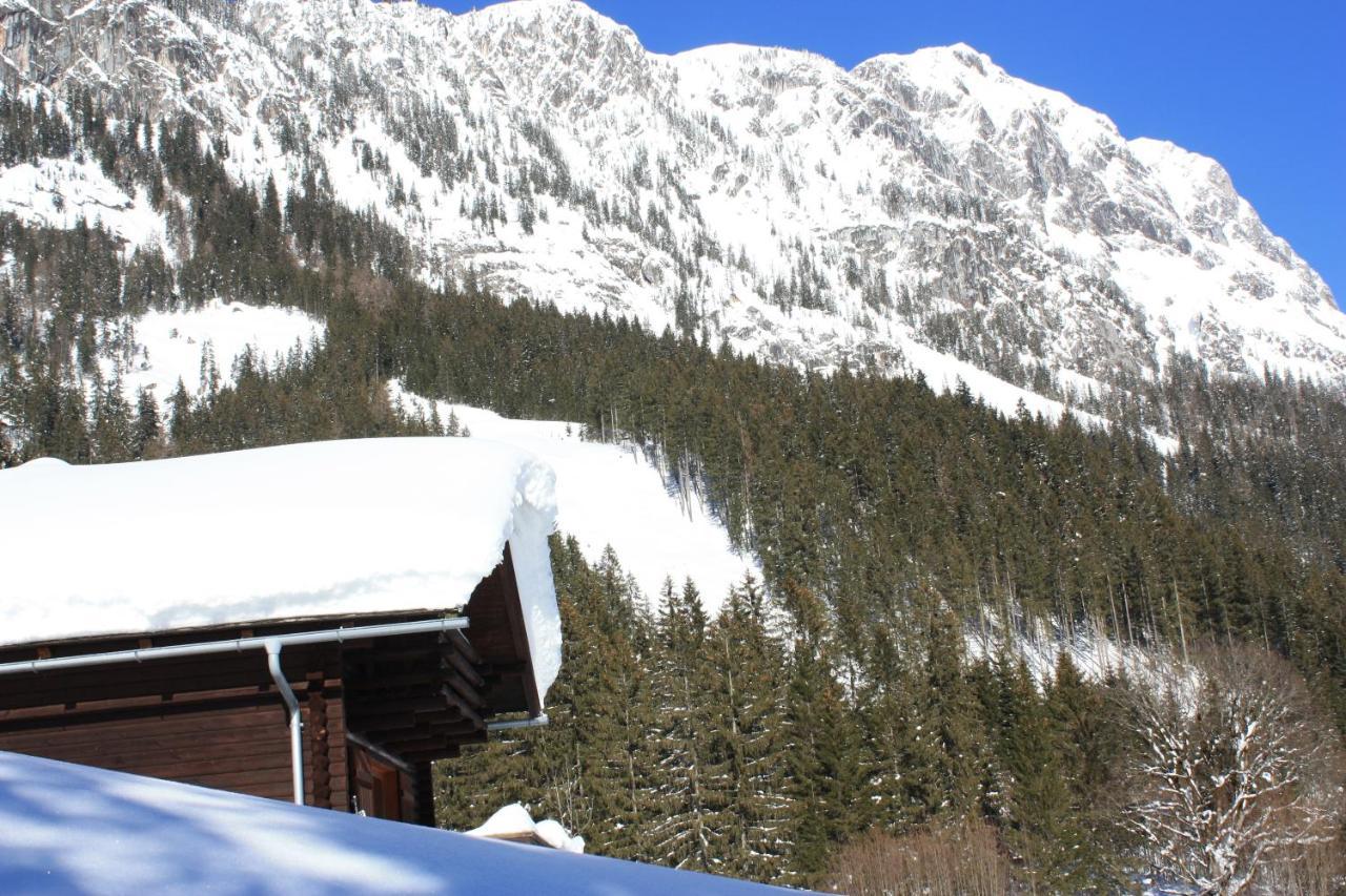 Blockhütte Radmer Villa Radmer an der Hasel Exteriör bild