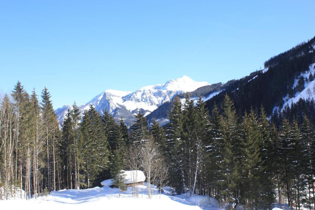 Blockhütte Radmer Villa Radmer an der Hasel Exteriör bild